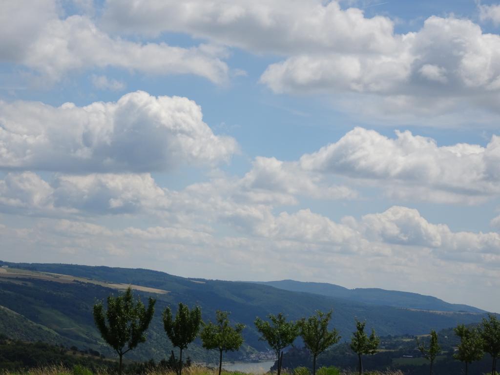 Landgasthaus Alter Posthof Halsenbach Eksteriør billede